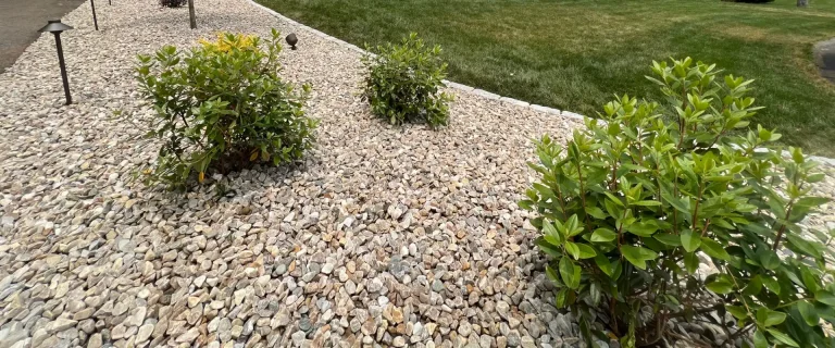 Drought Tolerant Landscaping Or Xeriscaping