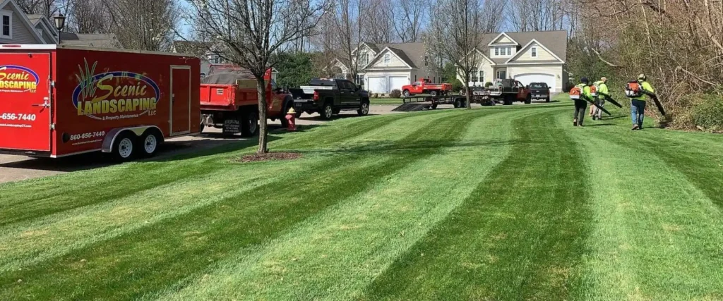 The Best Lawn Care Company