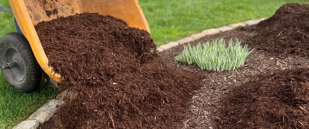 Spring Yard Cleanup