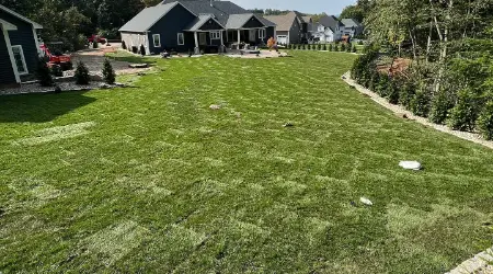 Cost To Install Sod On A Large Lawn