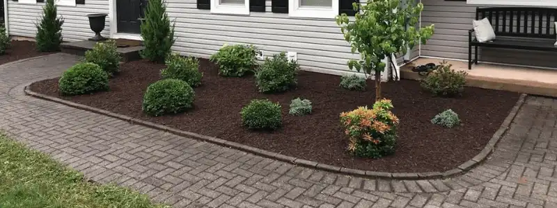 landscaping to improve your curb appeal