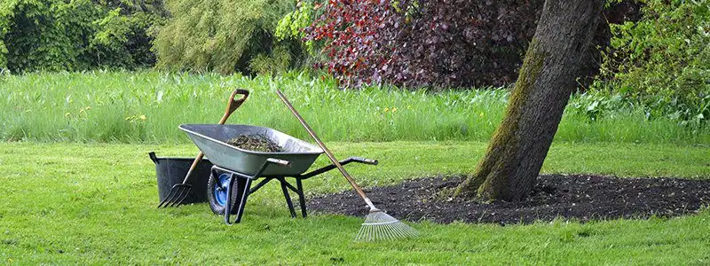 lawn care in the fall