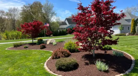 New Garden Bed Installations