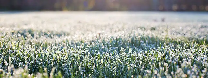 preparing your lawn for winter weather