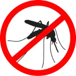 Mosquito Control Services