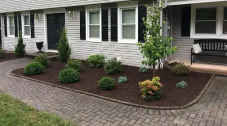 New Plantings and Garden Bed Installation