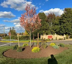 New Plantings By Scenic Landscaping & Property Maintenance.