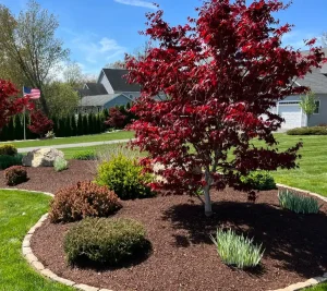 New Plantings By Scenic Landscaping & Property Maintenance.