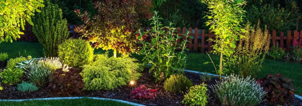 landscaping lighting in a backyard garden