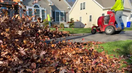 Seasonal Yard Cleanups In The Spring and Fall