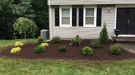Cost To Install Mulch On Small Properties