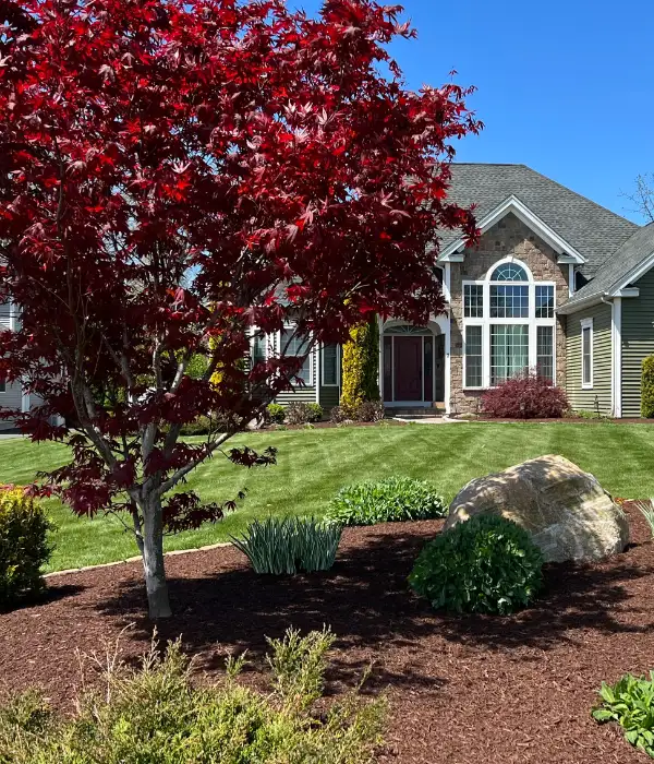 What Can A Smaller Landscaping Budget Get You
