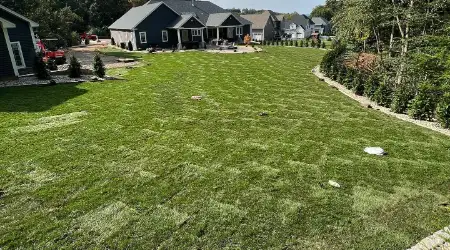 Sod Installations