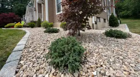 Xeriscaping Installation