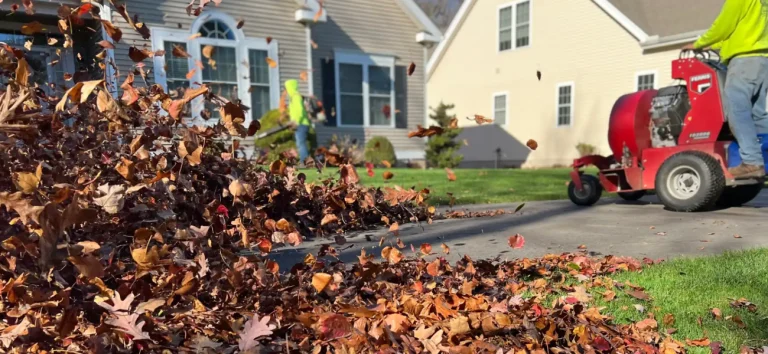 How to prepare your yard for winter