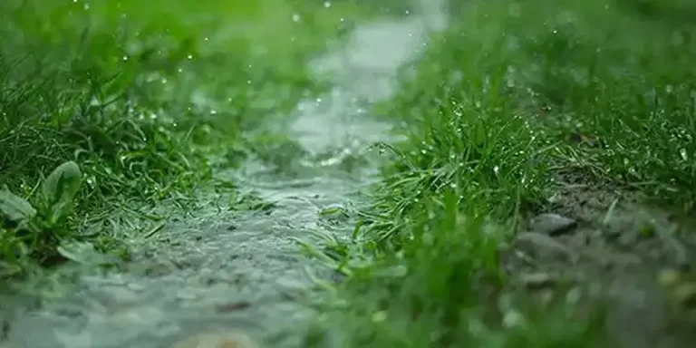 fixing erosion around downspouts