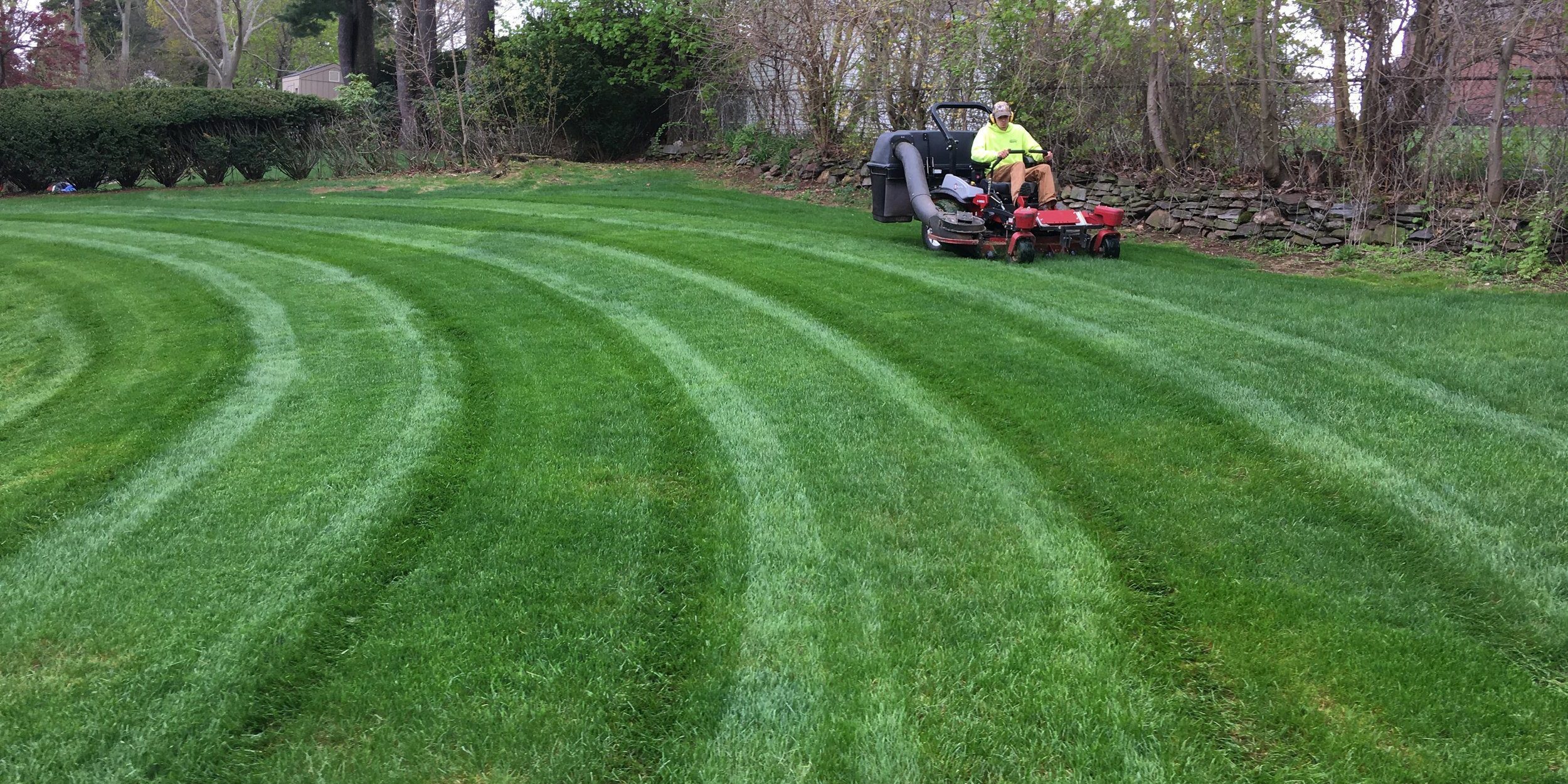 mowing a lawn with professional equipment